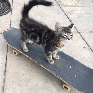 Meet your Posher, Jesse